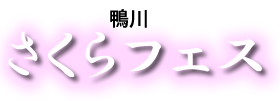 さくらフェス　千葉県鴨川市